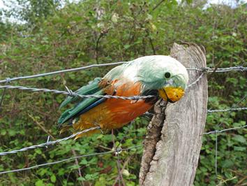 Expedición Urdaibai