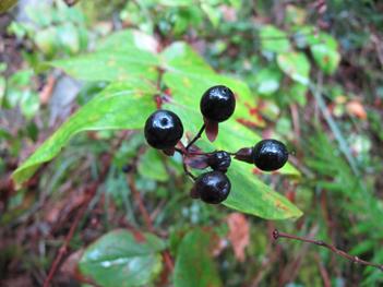 Expedición Urdaibai