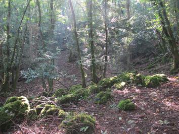 Expedición Urdaibai