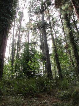 Expedición Urdaibai