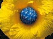 Bollywood Sitare Fira Terra 2011