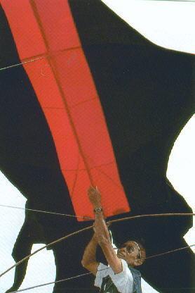 Balinese kites 