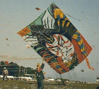 Japanese Kite