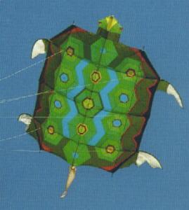 Turtle Kite