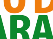 CIUDAD NARANJA MOVILIDAD URBANA SOSTENIBLE Madrid