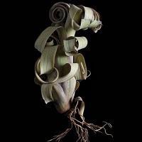 Plantas llegadas de marte Plantas llegadas de marte