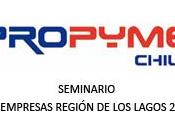 PROPYMECHILE realizará Seminario para PYMEs ciudad Puerto Montt