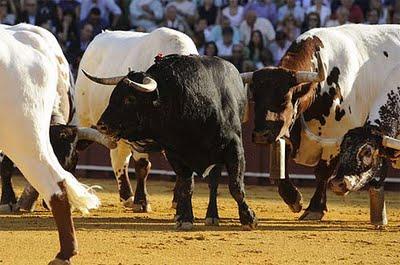 La Tesis de Zalduendo