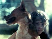 ¿Qué hacer frente mordedura perro?