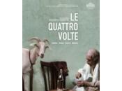 quattro volte