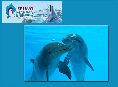 Encuentro con Delfines