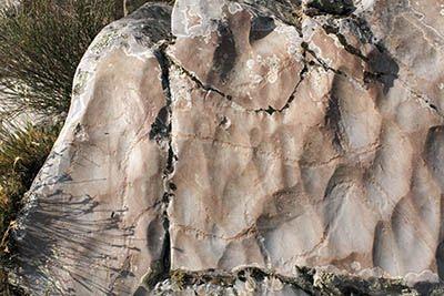 Yacimiento Siega Verde, 2010