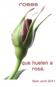 Rosas con olor a rosa.