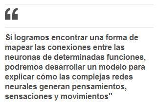 Trazar el mapa más detallado del cerebro