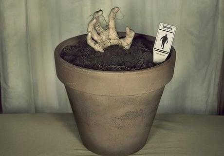 Enlaces de la semana (15/11)