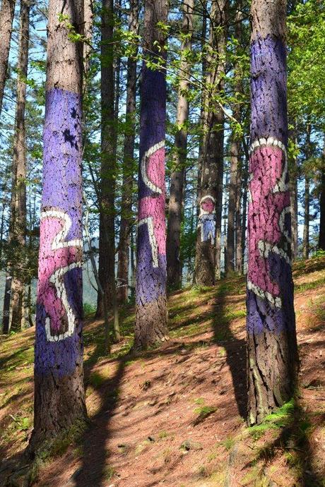 Bosque de Oma Bosque de Oma