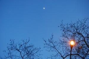 Luna (Barcelona, mar 2011) LUNA LLENA… DE MAGIA