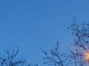 Luna llena… magia