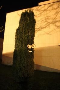 The trees have eyes (los arboles tienen ojos) de Costah & Moreira