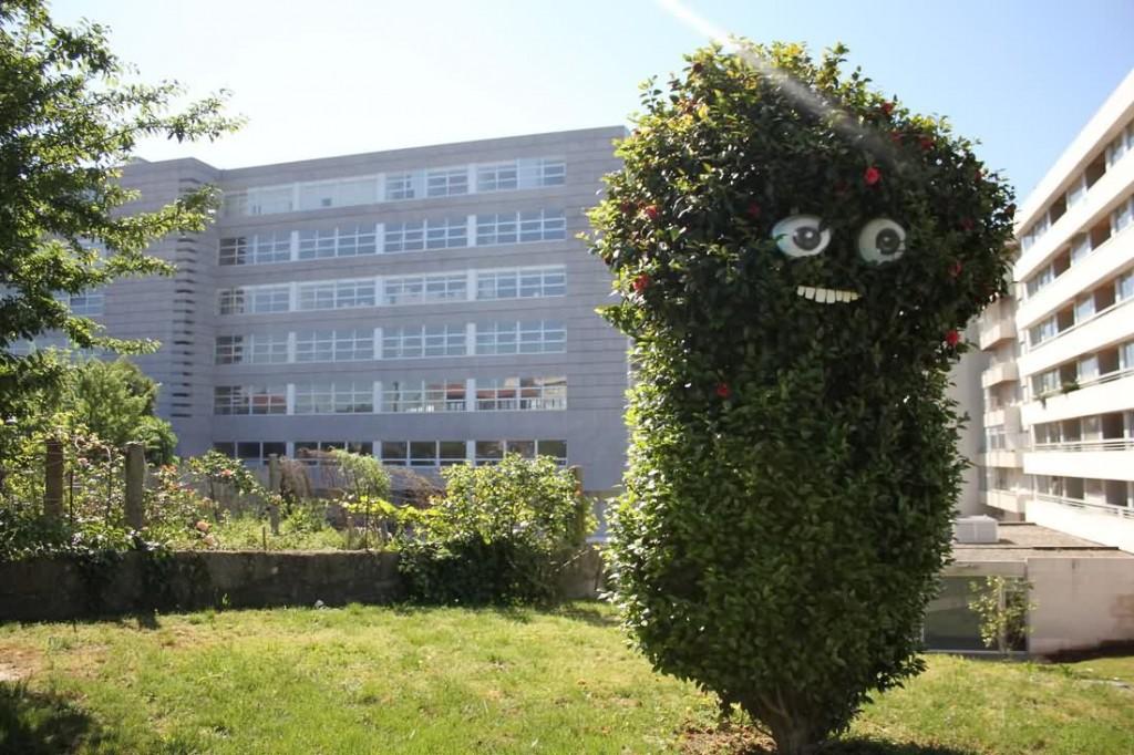 The trees have eyes (los arboles tienen ojos) de Costah & Moreira