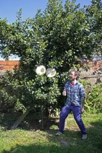 The trees have eyes (los arboles tienen ojos) de Costah & Moreira