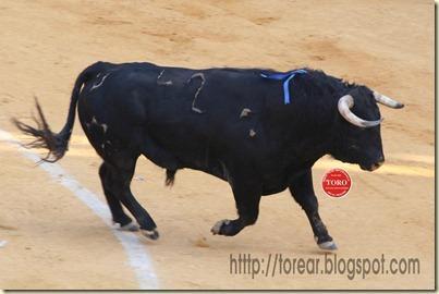 Trapío Ferretero indultadoweb