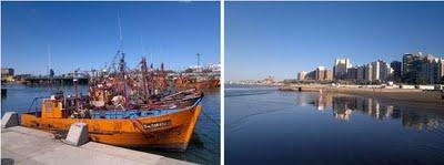 Vacaciones cerveceras en Mar del Plata