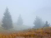 abuso sexual infantil consecuencias