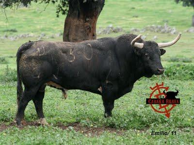 Los pitones de la Reina