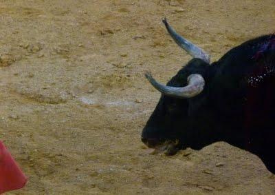 Los pitones de la Reina