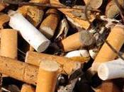 colillas cigarro veneno para peces