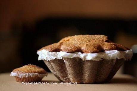 La #Megamagdalena está en camino