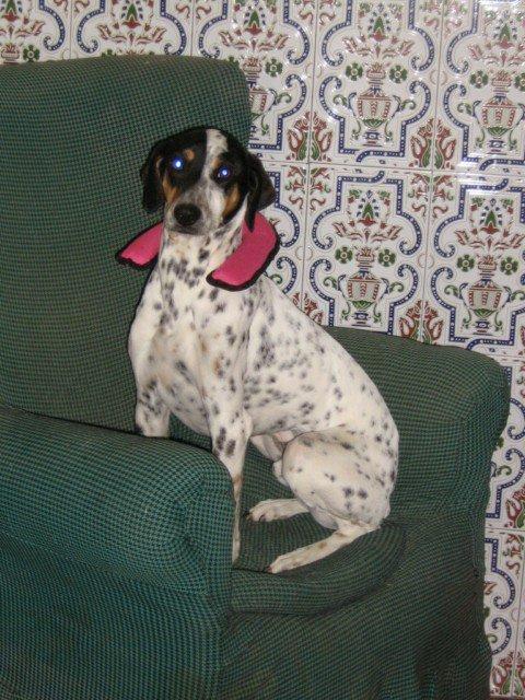 Vaya por Dios, Sugus tiene problemas cervicales