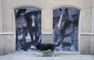 Sorprendidos (Barrio gótico, Barcelona, agosto 2010) CONFRONTACIÓN PERMANENTE…