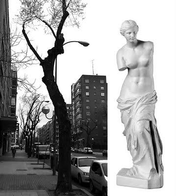 Podas sin arte, naturaleza mutilada Podas sin arte, naturaleza mutilada