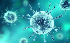 Nueva Pandemia Mundial Mataría A Millones.