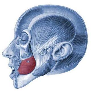 Sin cachetes por favor