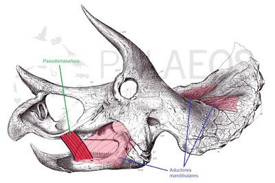 Sin cachetes por favor