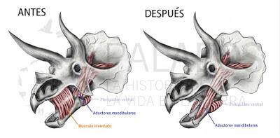Sin cachetes por favor