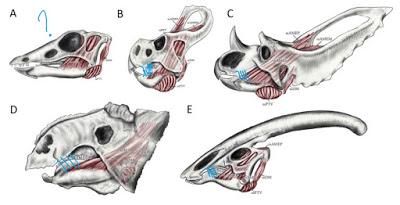 Sin cachetes por favor