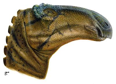 Sin cachetes por favor