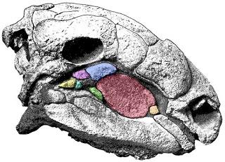 Sin cachetes por favor