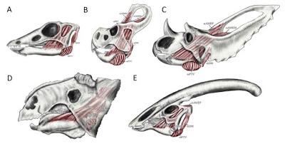 Sin cachetes por favor