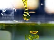 cannabis alivia síntomas enfermedad Crohn