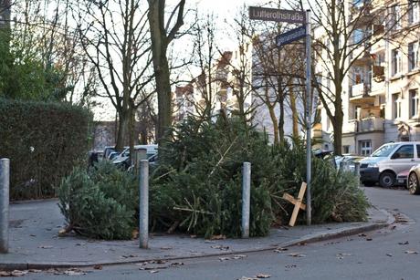 Weihnachtsbaum Entsorgen Hamburg Fotos Das Wirklich Ehrfurcht Gebietend