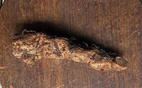 Tortitas de chinchayote