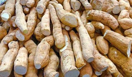 Tortitas de chinchayote