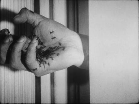 Un perro andaluz, de un museo a la gran pantalla Un perro andaluz, de un museo a la gran pantalla