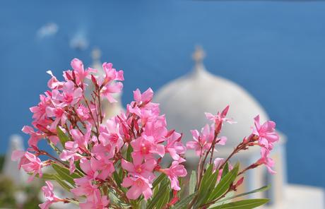 Santorini, la isla de las cúpulas y los atardeceres mágicos