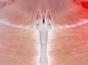 Dolor deltoides ¡control recuperación!